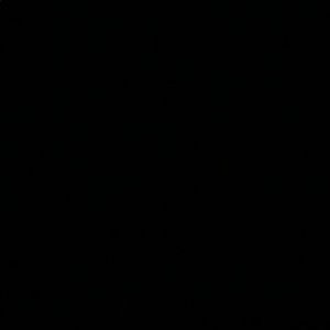 Meet your Posher, Camila